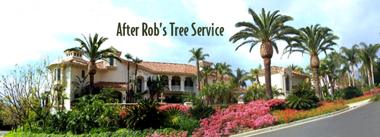 Rob's Tree Service Orange County Estate Completed