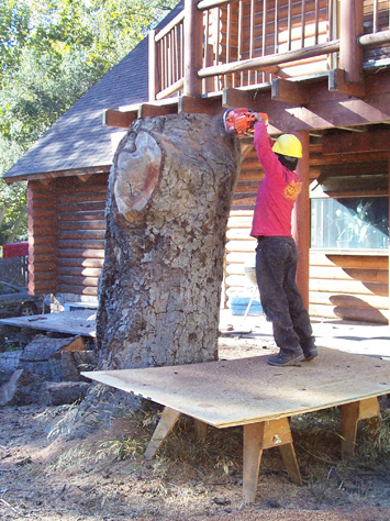 Rob's Tree Service Modjeska Canyon In Progress